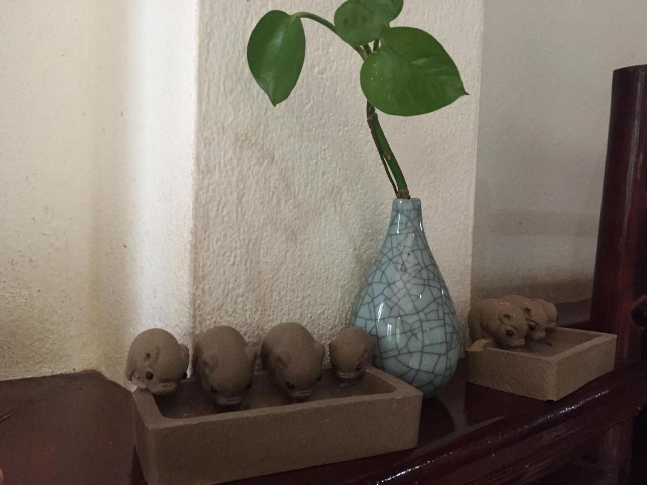 A Tee Guesthouse Luang Prabang Exteriör bild